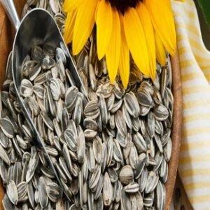 graines de tournesol grillée et salée